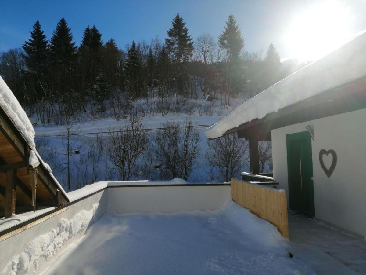 Apartment In Dienten With Mountain Views Dienten am Hochkoenig Exterior photo